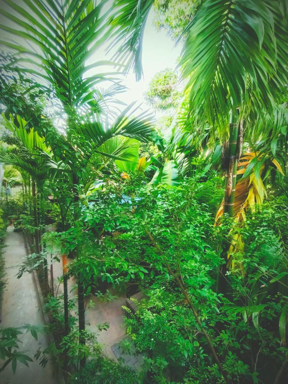 Green Stay Village Siem Reap Exterior foto